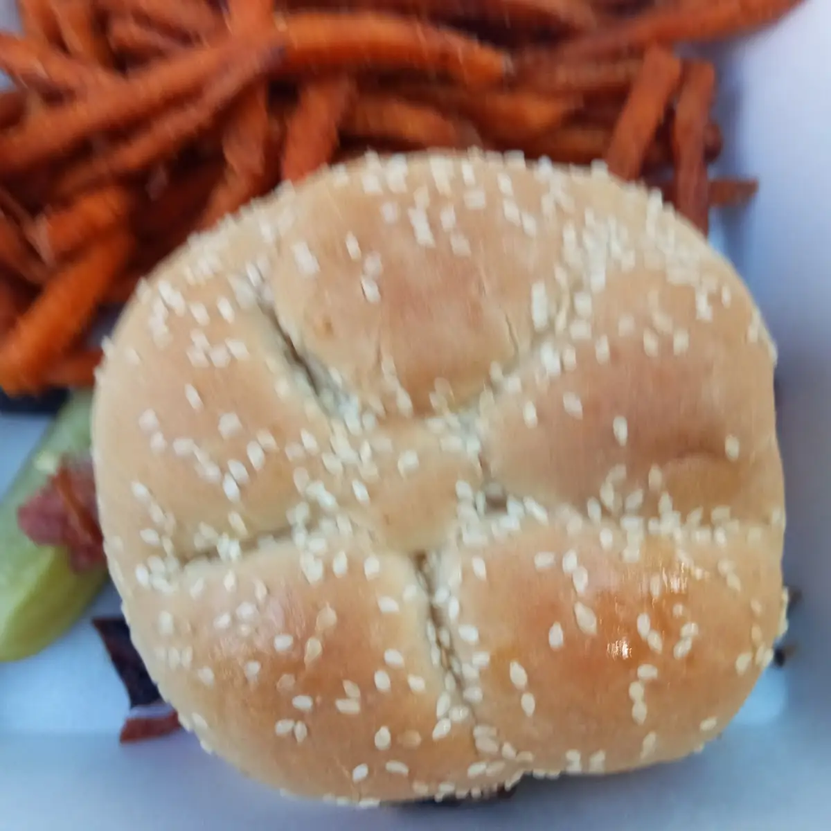 Pulled Pork Sandwich