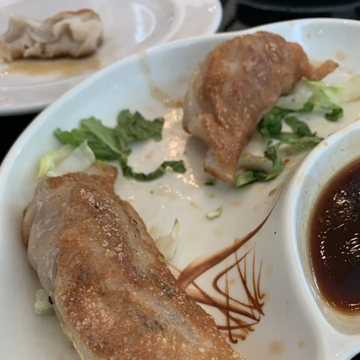 Fried Dumplings
