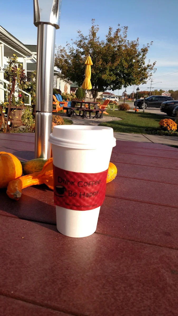 Hot Tea 16oz