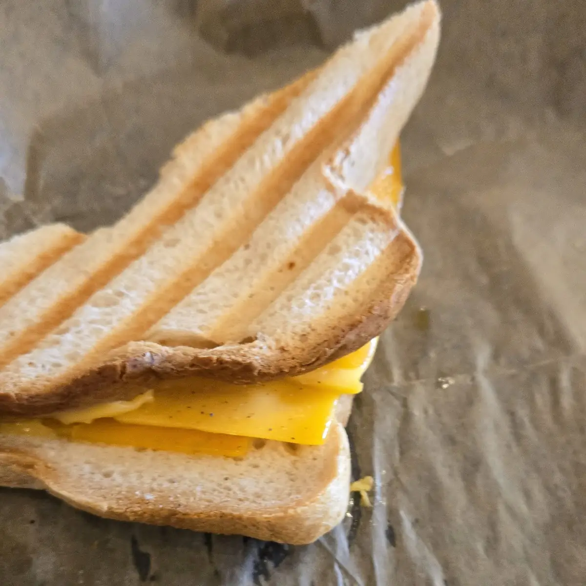 Cheese Sandwich