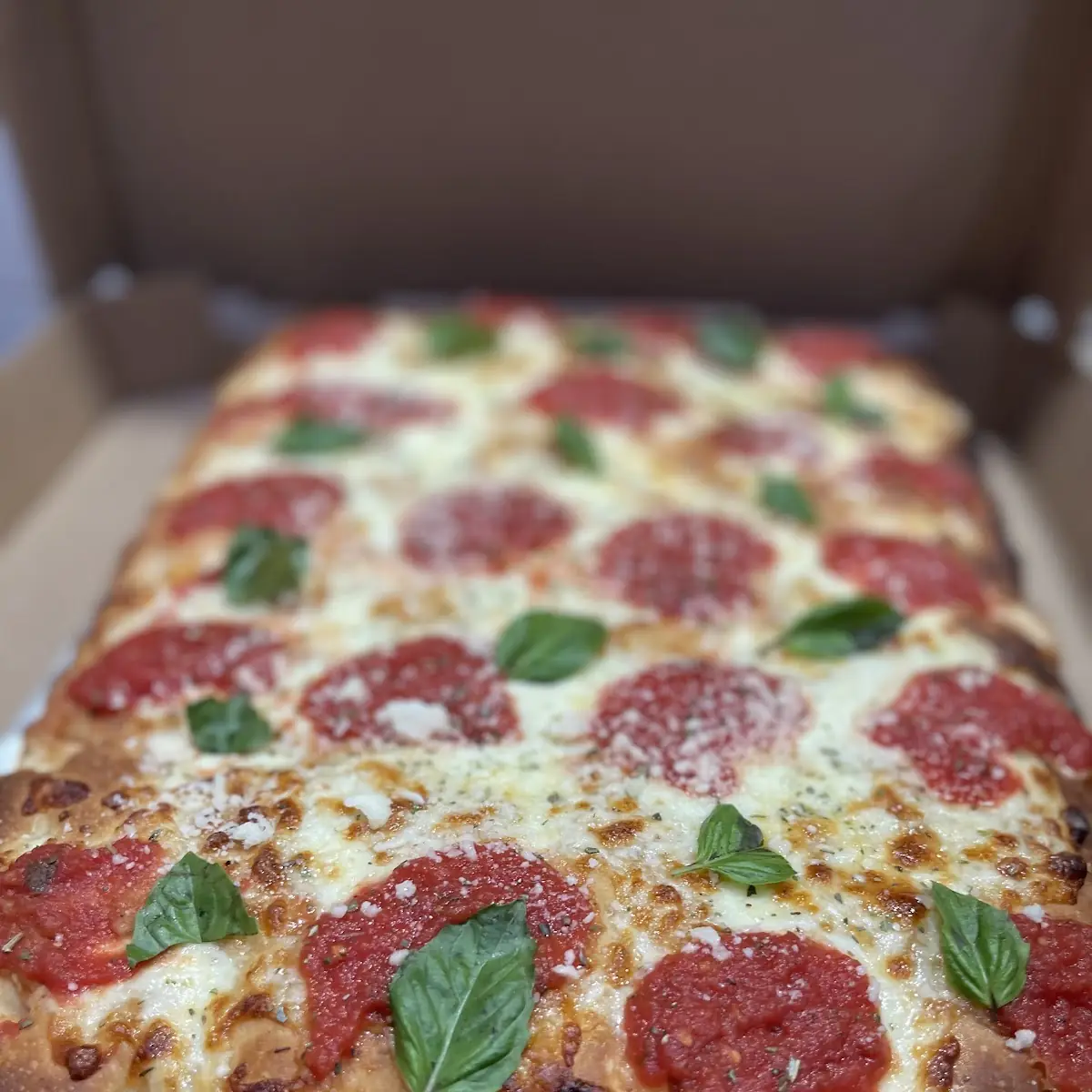 Large Sicilian Pizza