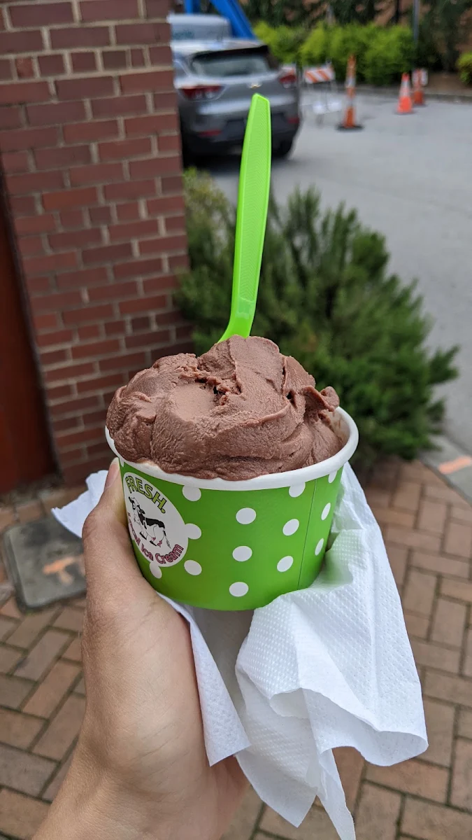 Vegan Chocolate