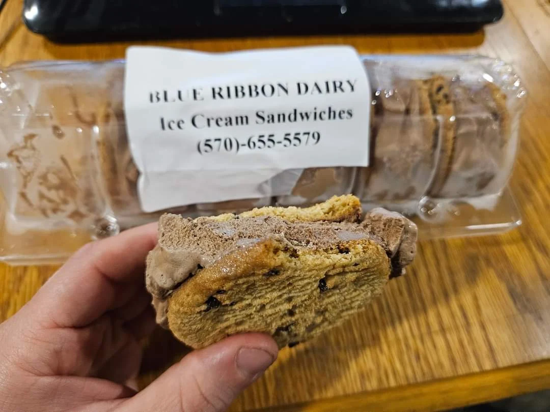 Chocolate Chip Ice Cream Sandwiches