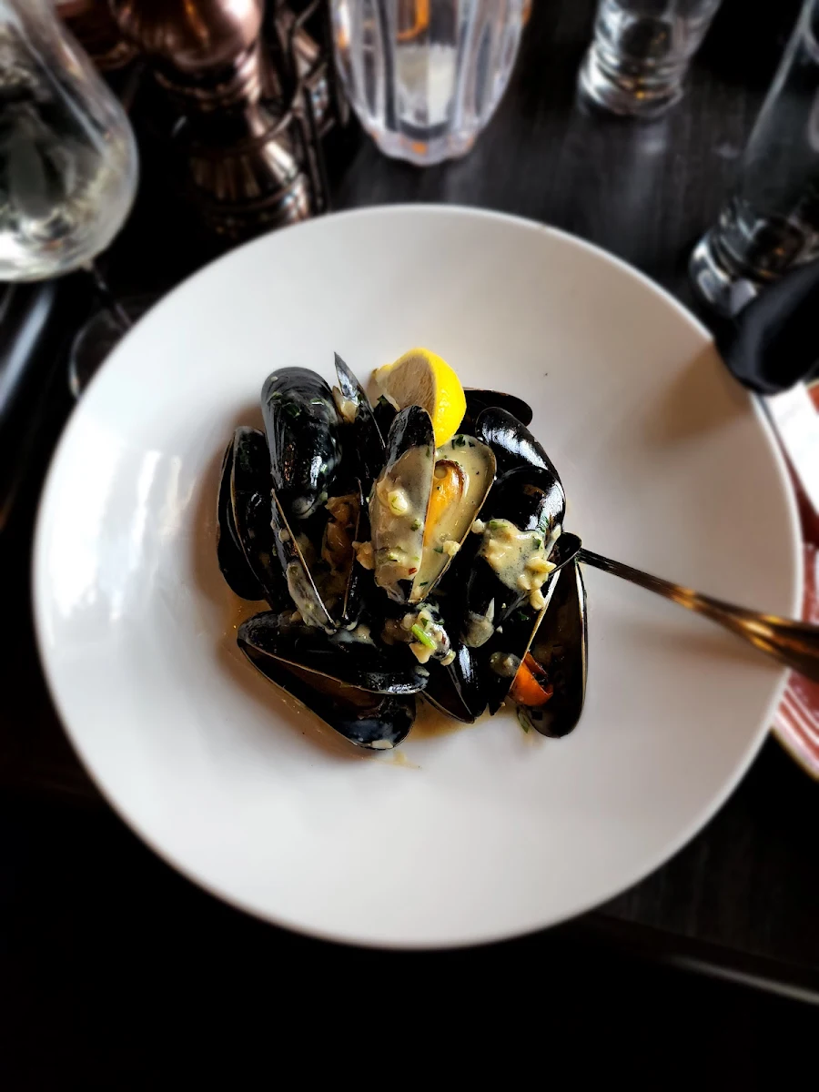 Mussels in White Creamy Tarragon Sauce