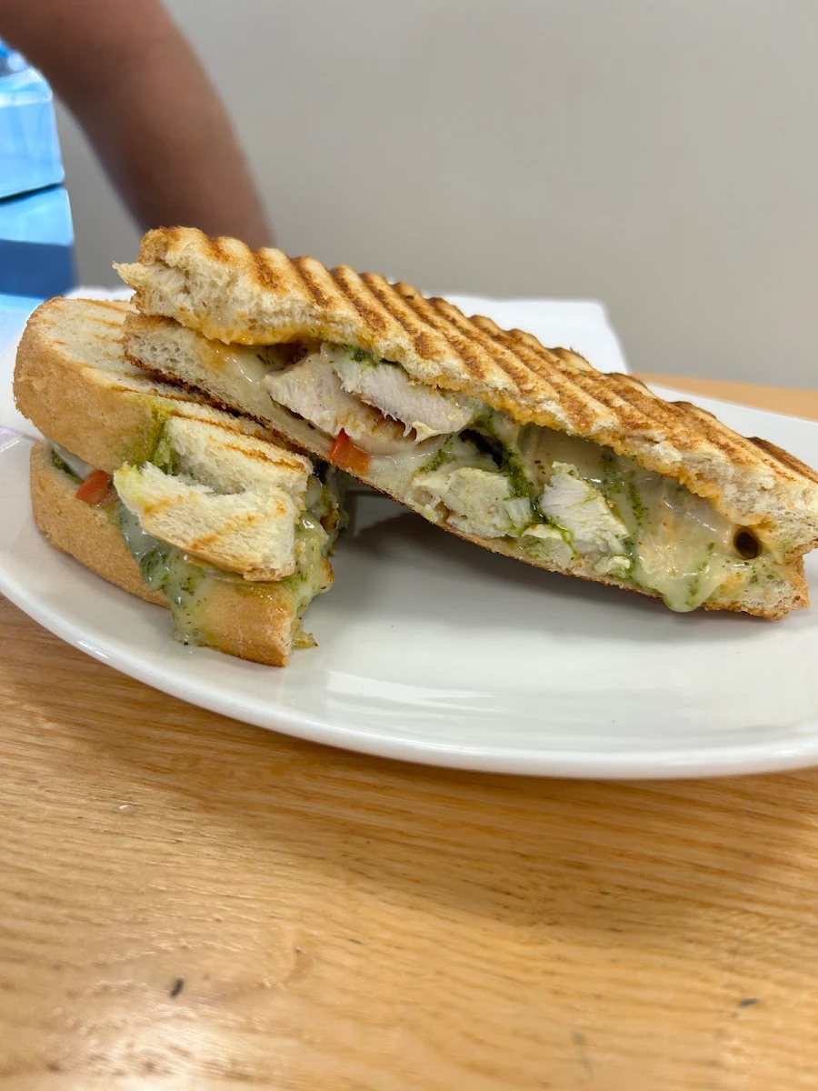 Chicken Pesto Panini