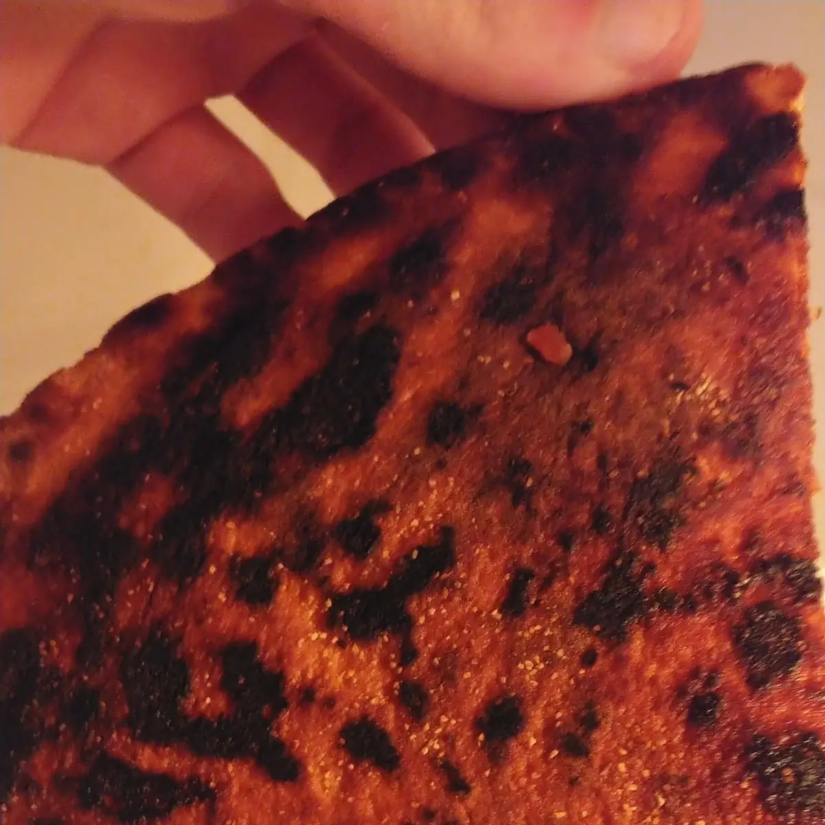 Burnt Pizza