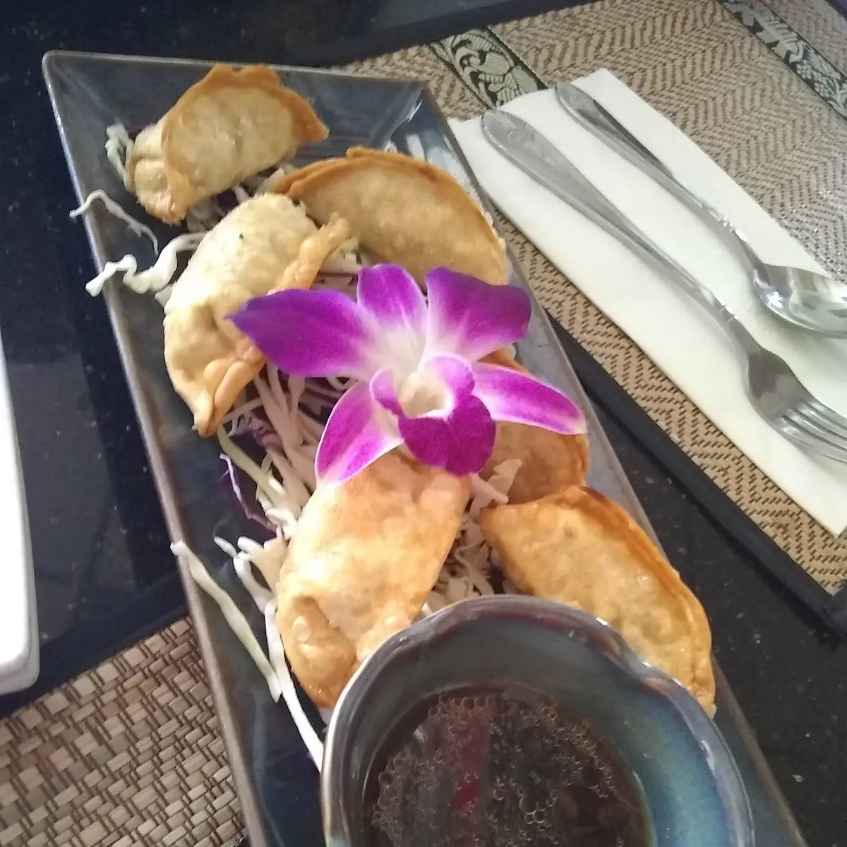Fried Dumplings