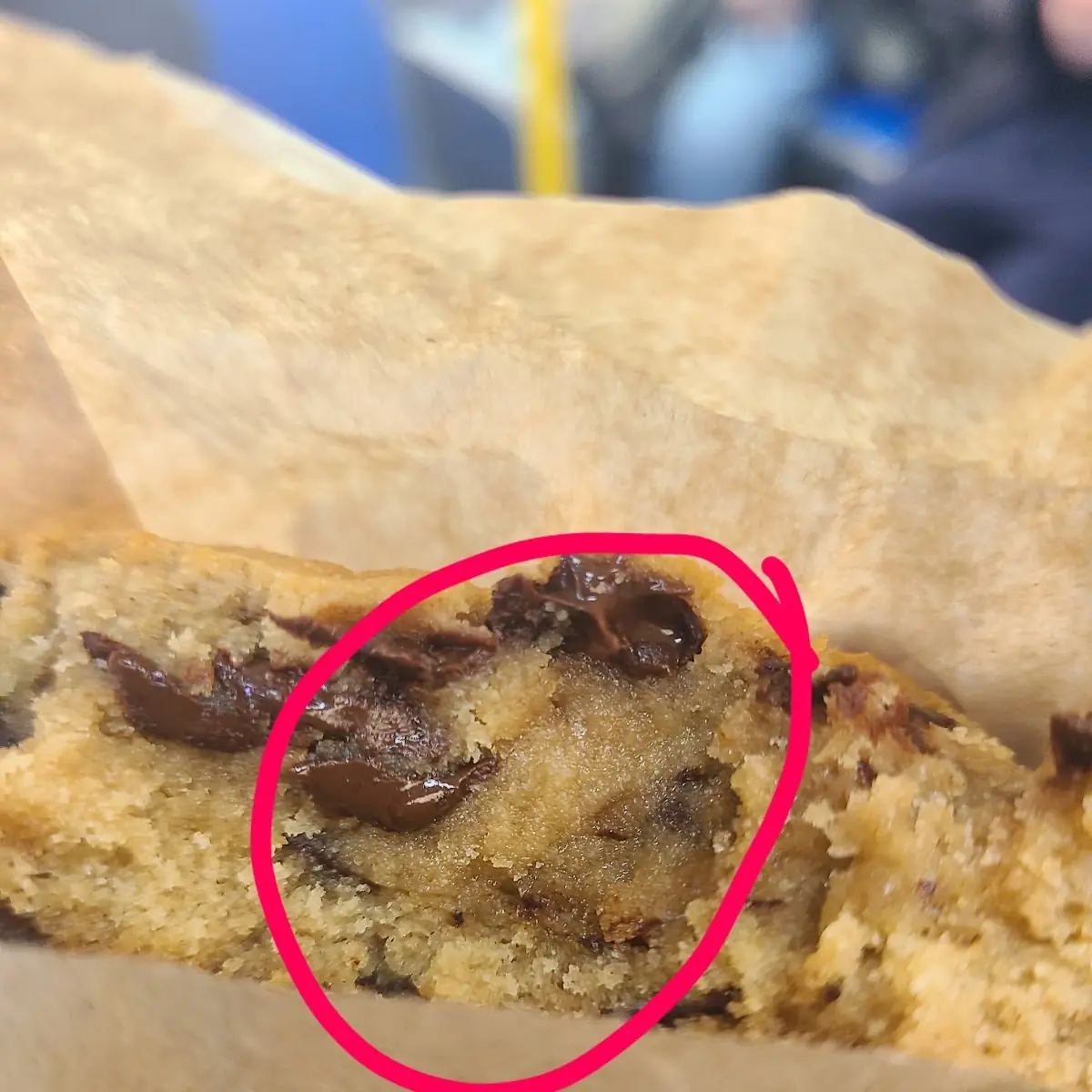 Blueberry Muffin