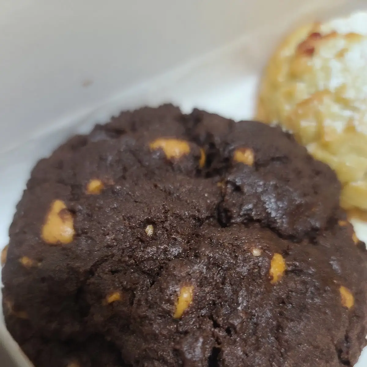 Chocolate Peanut Butter Cookie