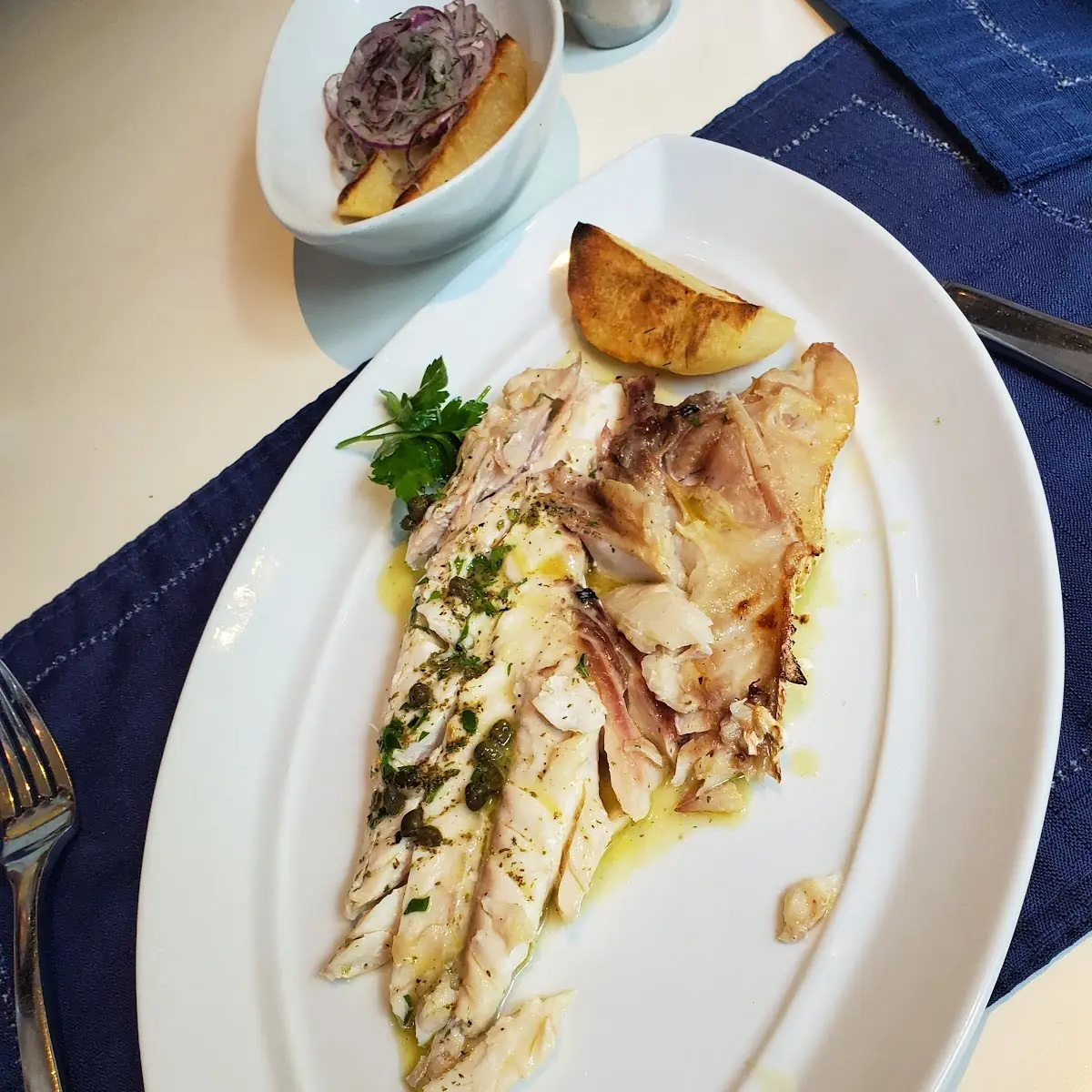 Red Snapper