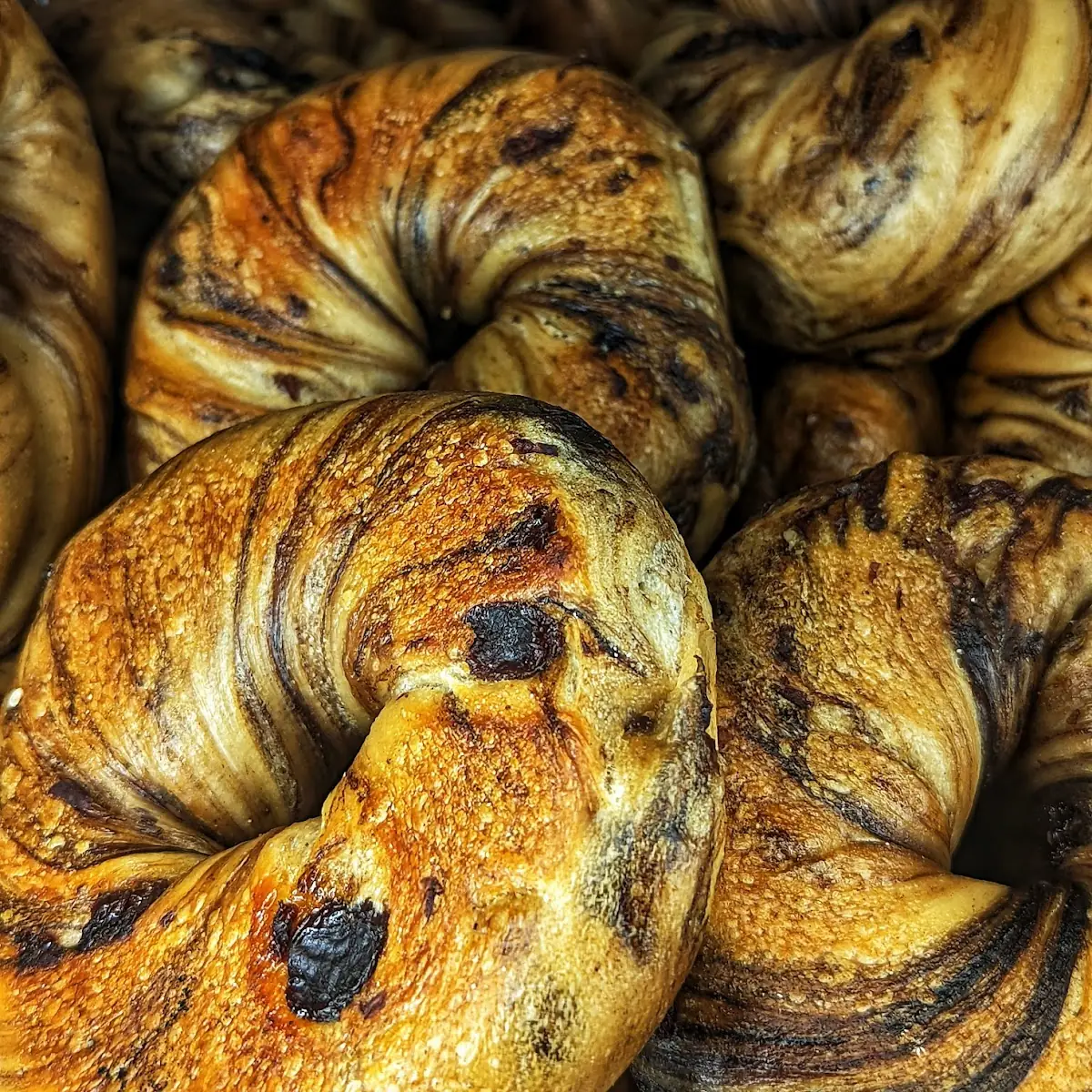Cinnamon Raisin Bagel