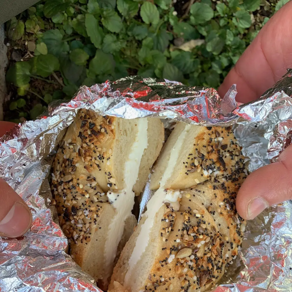 Poppy Bagel