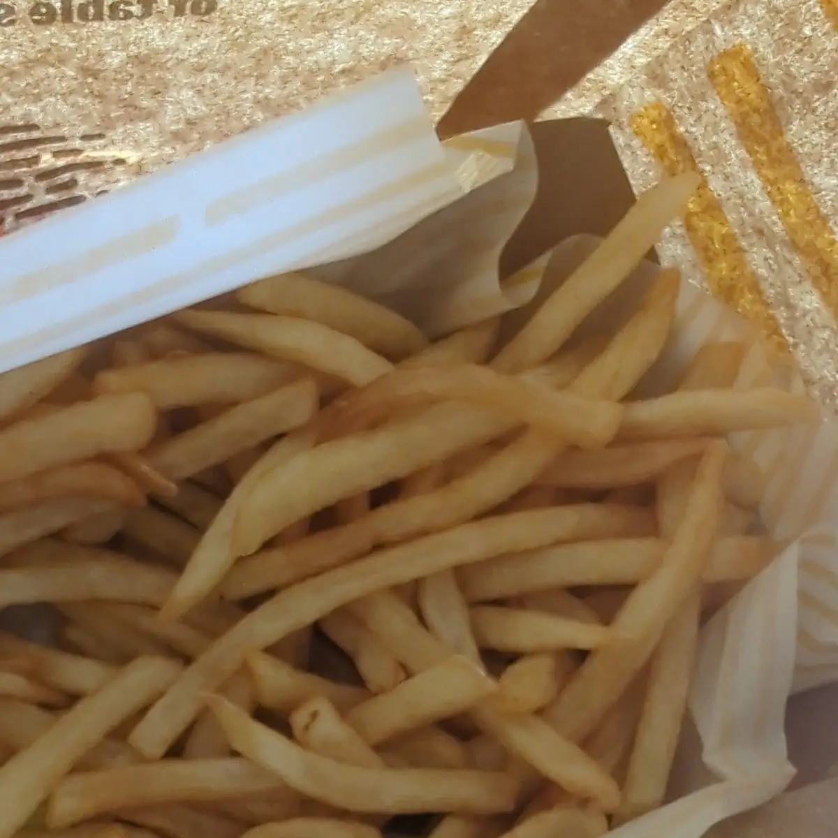 World Famous Fries