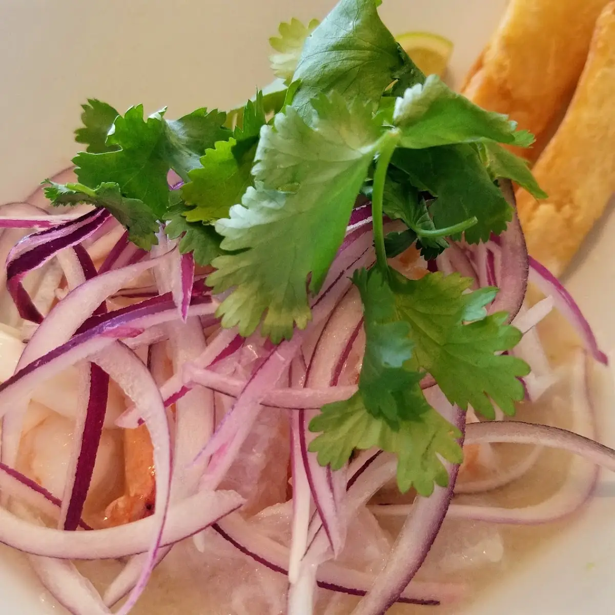 Ceviche Mixed