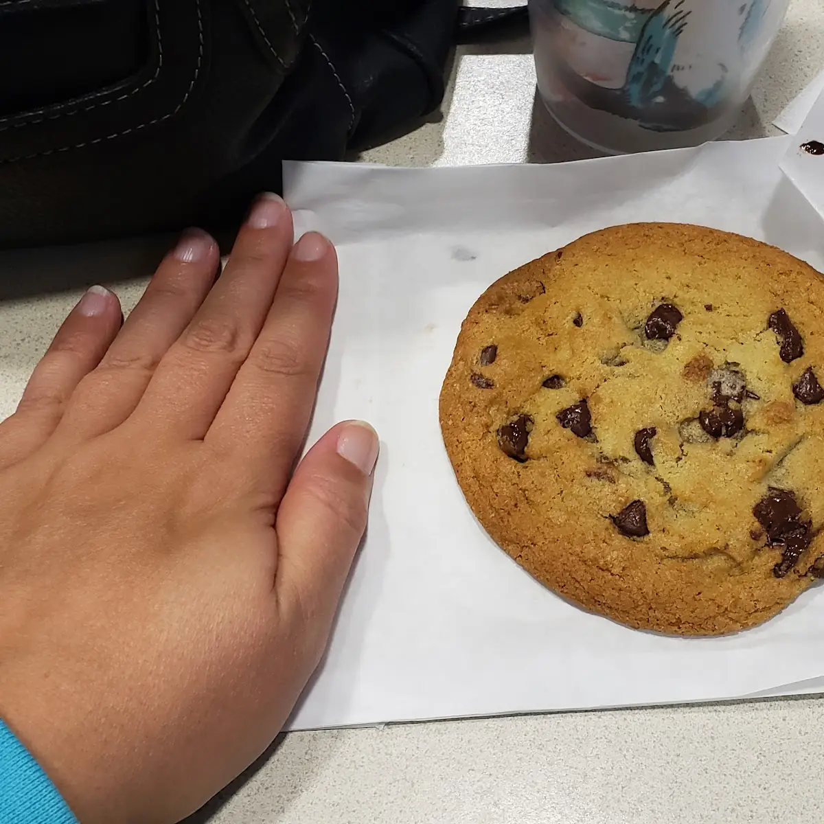 Chocolate Chip Cookie