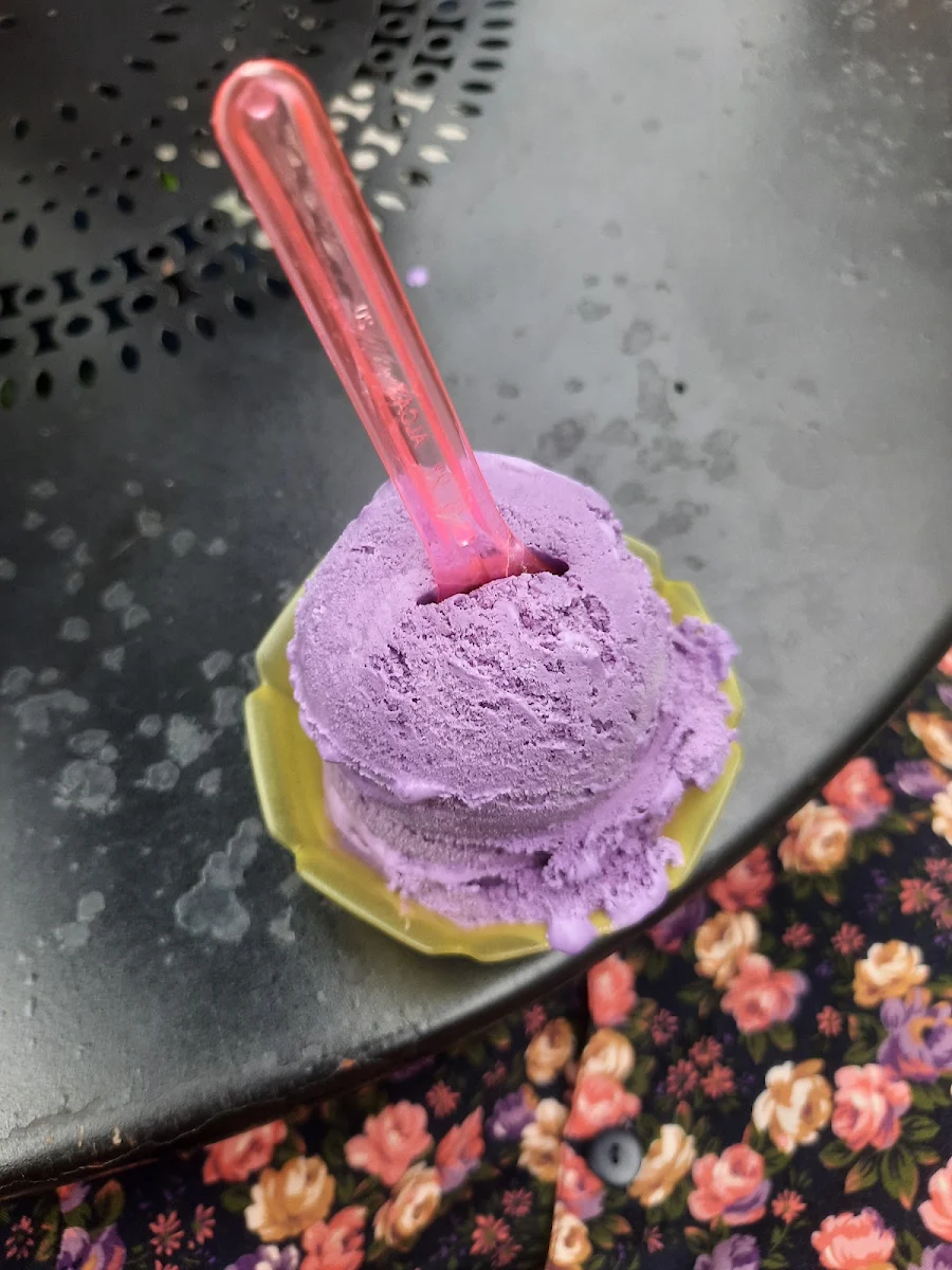 Ube Gelato