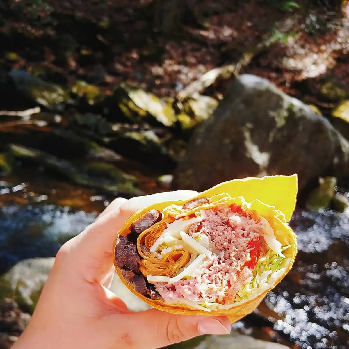 Roast Beef and American Cheese Tomato Wrap