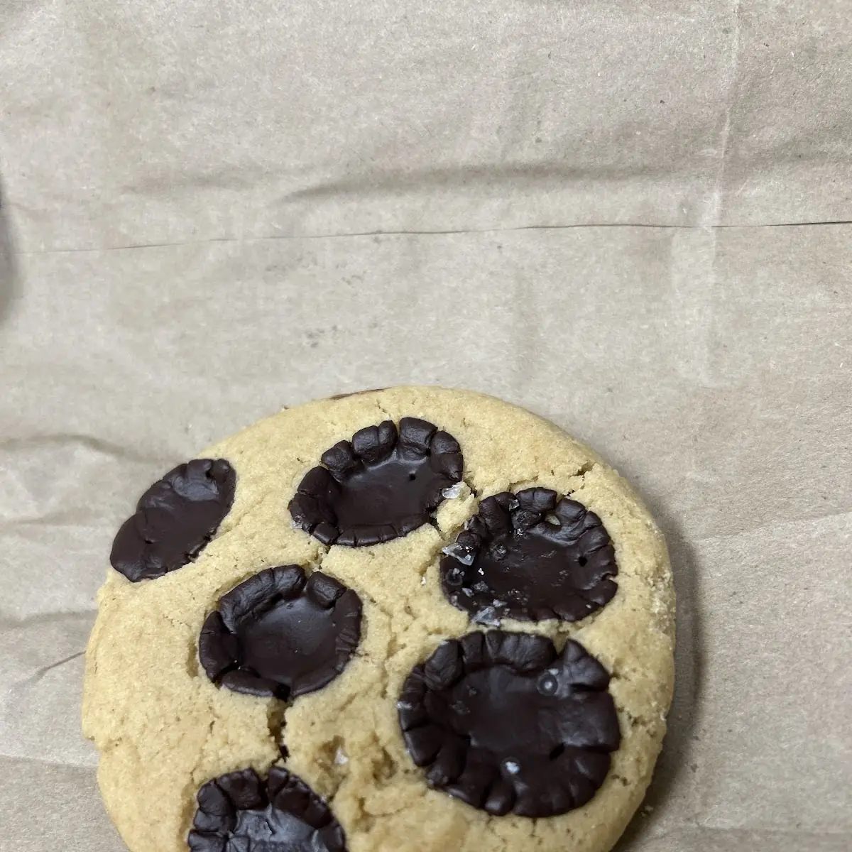 Chocolate Chip Cookie