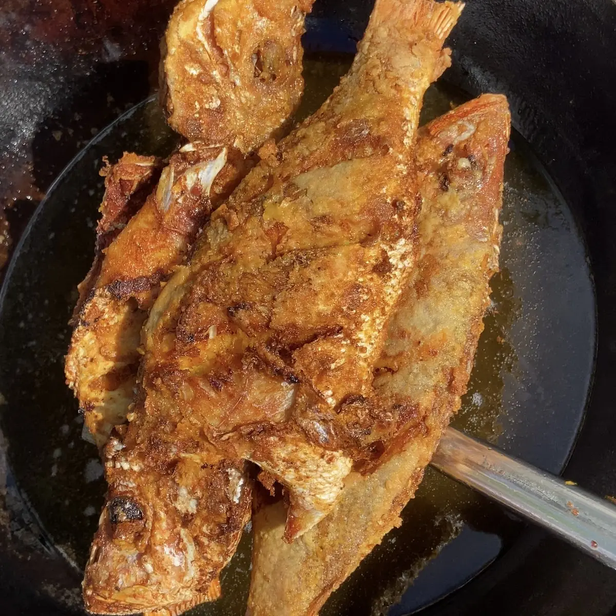 Fried Fish