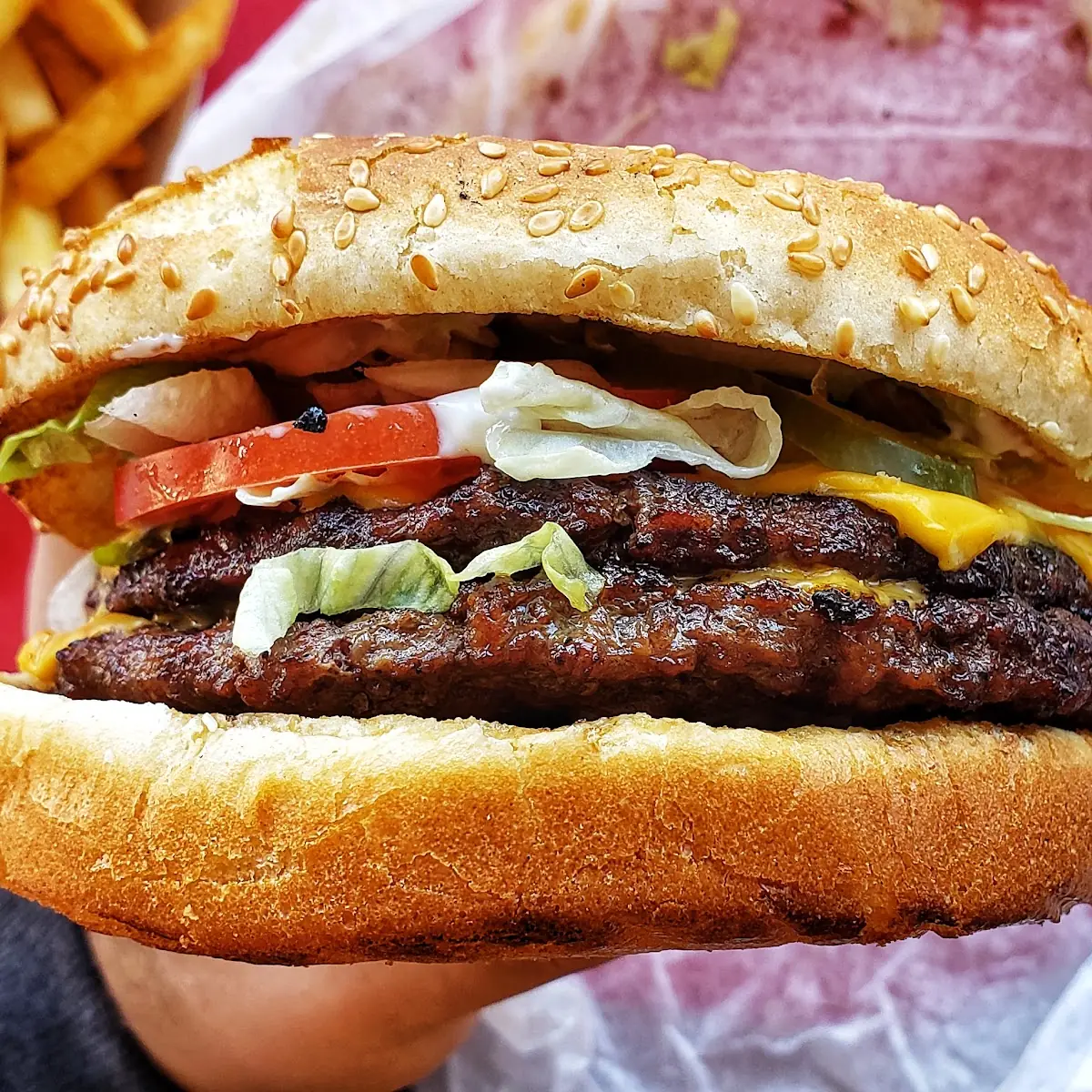 Double Cheeseburger and Fries