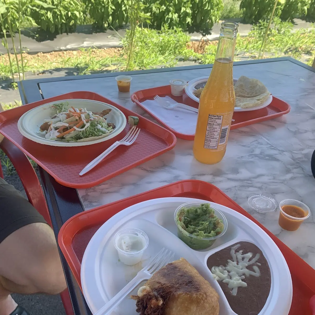 Chimichanga