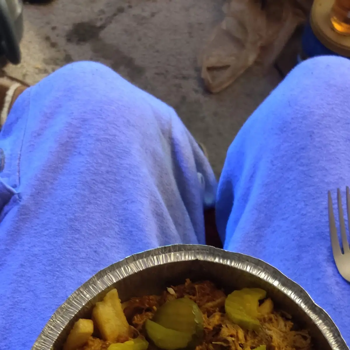 Pulled Pork Fries