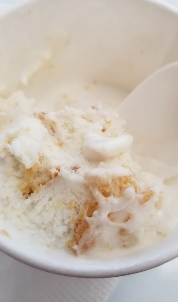 Banana Pudding Ice Cream