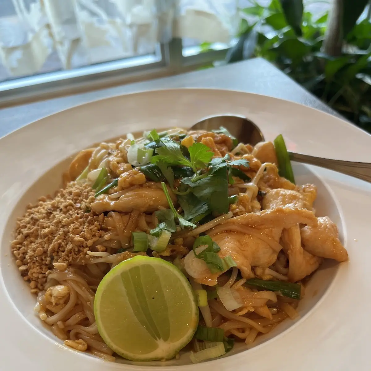 Chicken Pad Thai