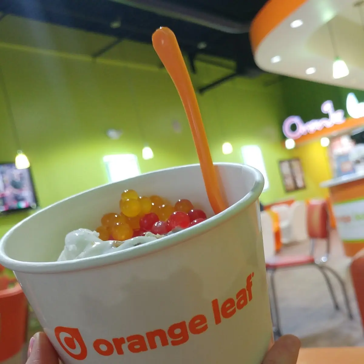 Frozen Yogurt
