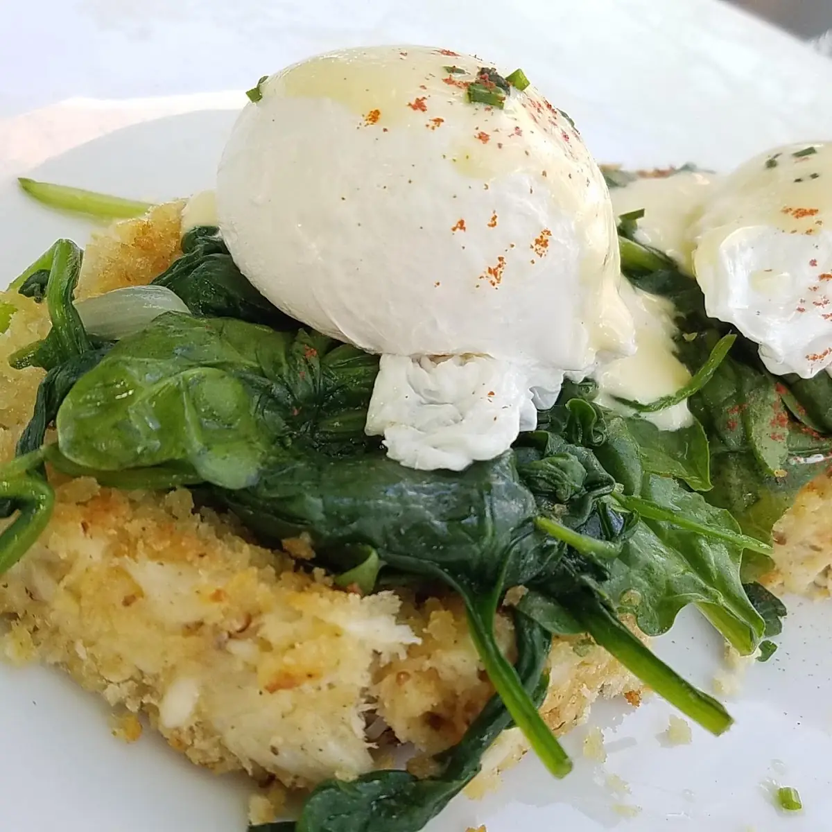 Eggs Benedict