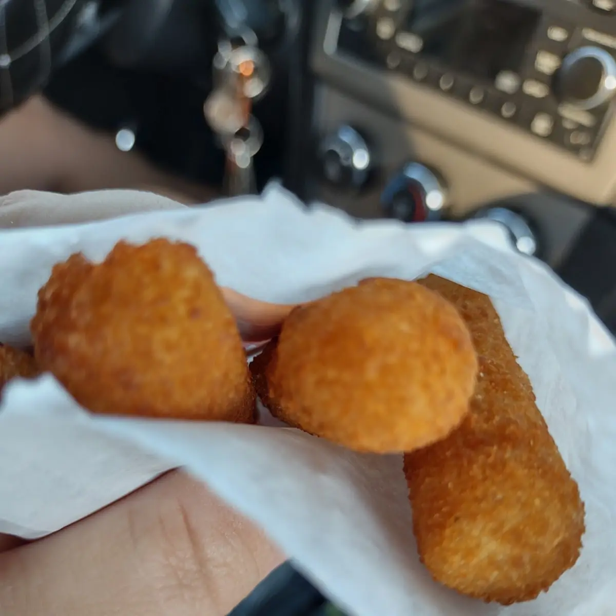 Mozzarella Sticks