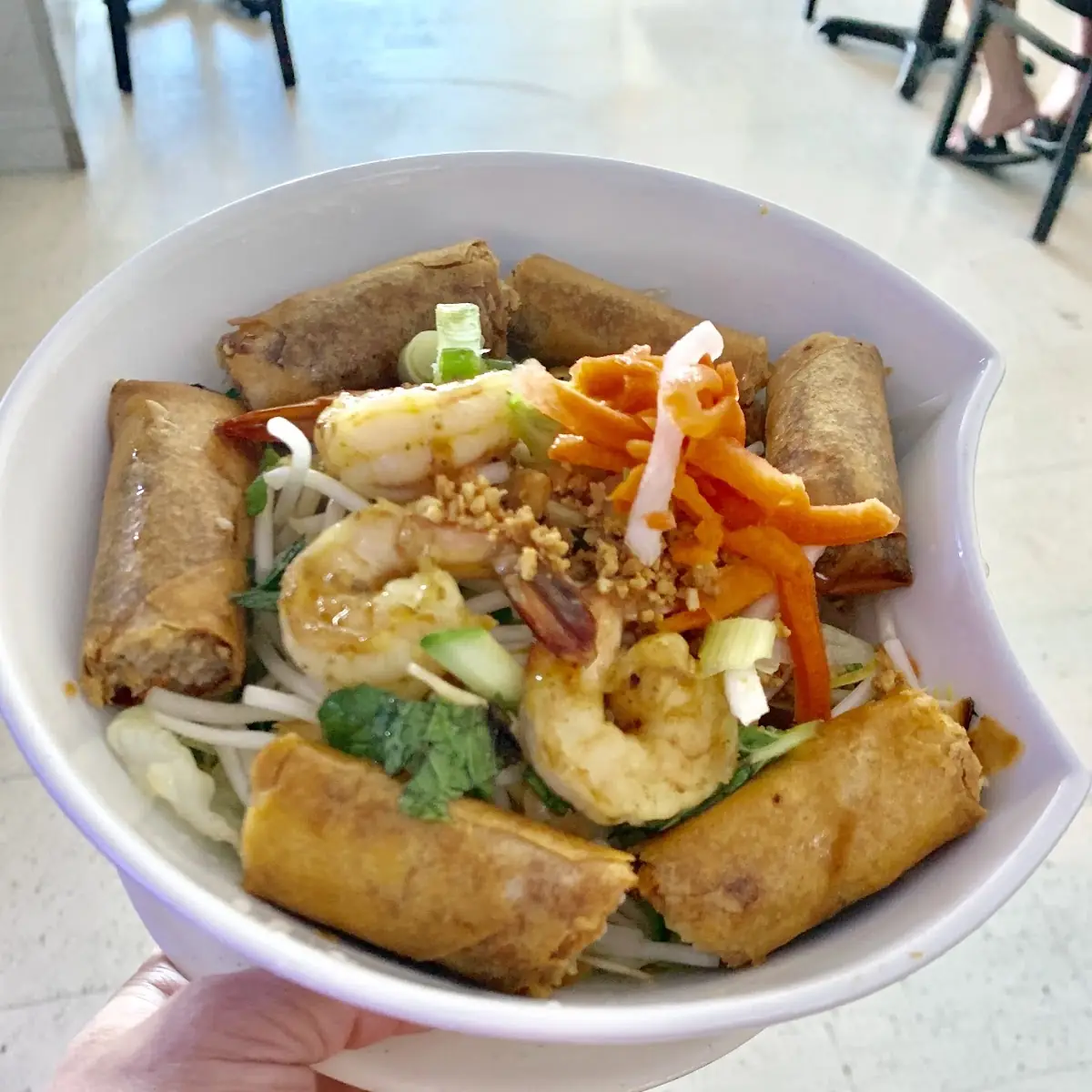 Veggie Spring Rolls on Vermicelli