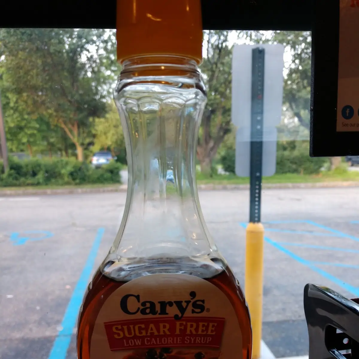 Sugar Free Syrup