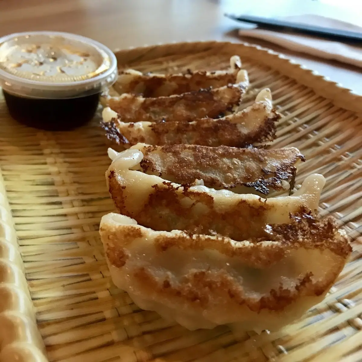 Pork Gyoza Pan-Fried