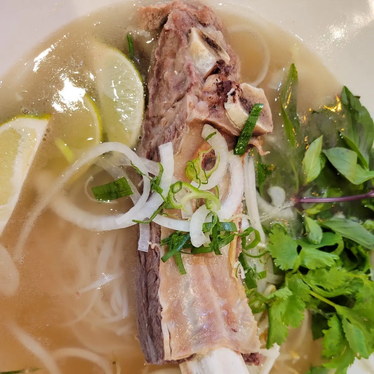 Beef Back Rib Pho