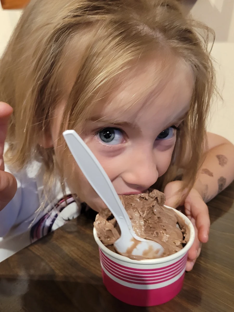 Chocolate Ice Cream