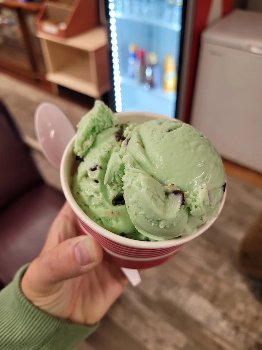 Mint Chocolate Chip Ice Cream