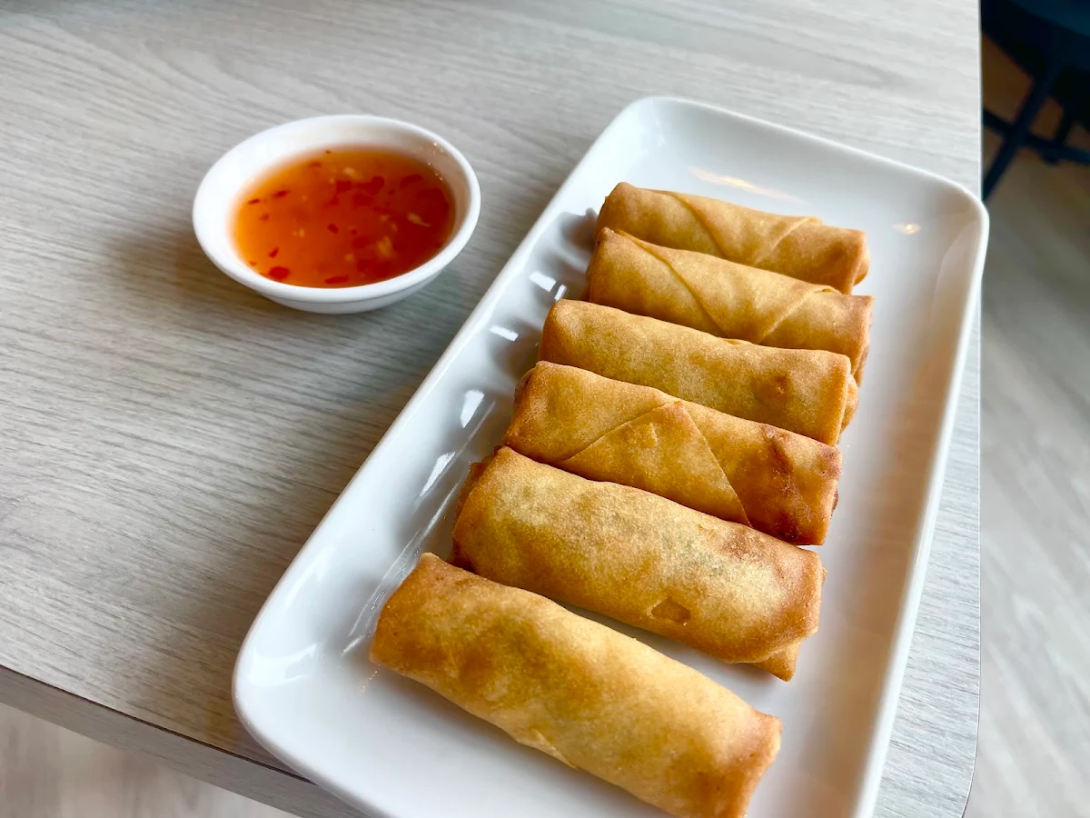 Vegetable Spring Roll