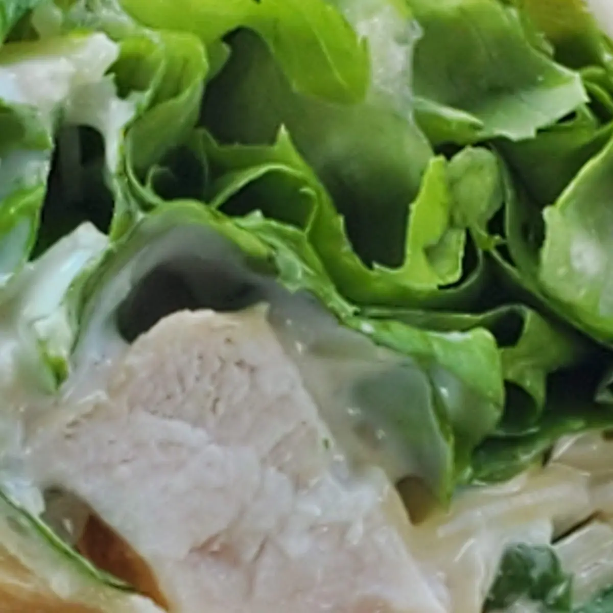 Chicken Burrito