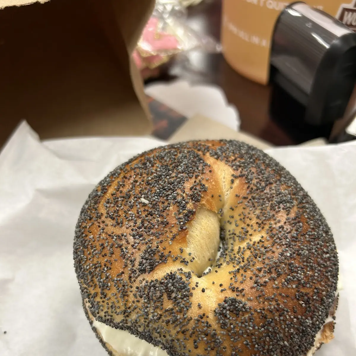 Everything Bagel with Salmon Spread
