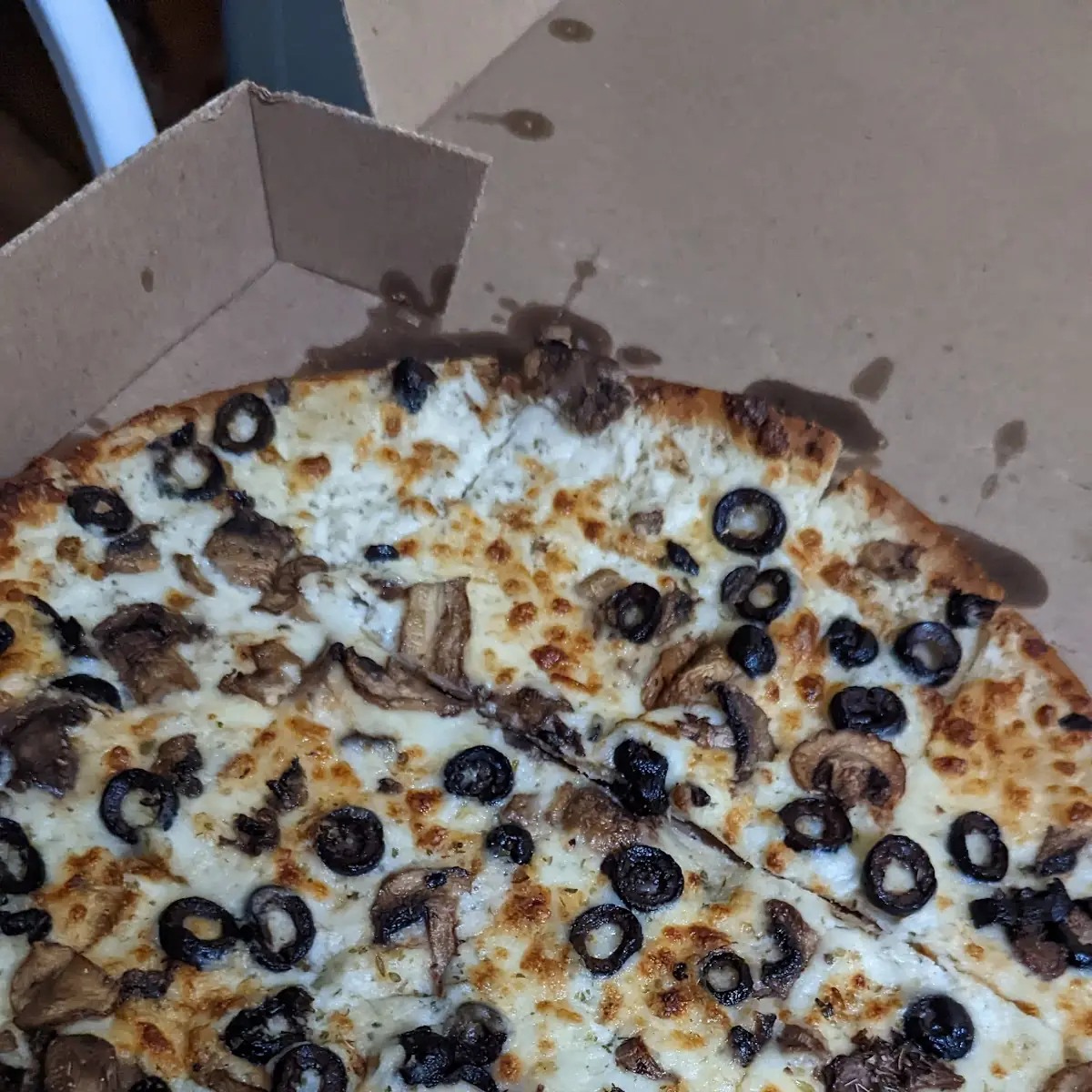 Thin Crust Cheese Pizza with Mushroom and Olives