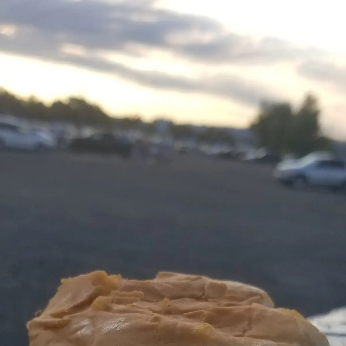 Double Cheeseburger Combo