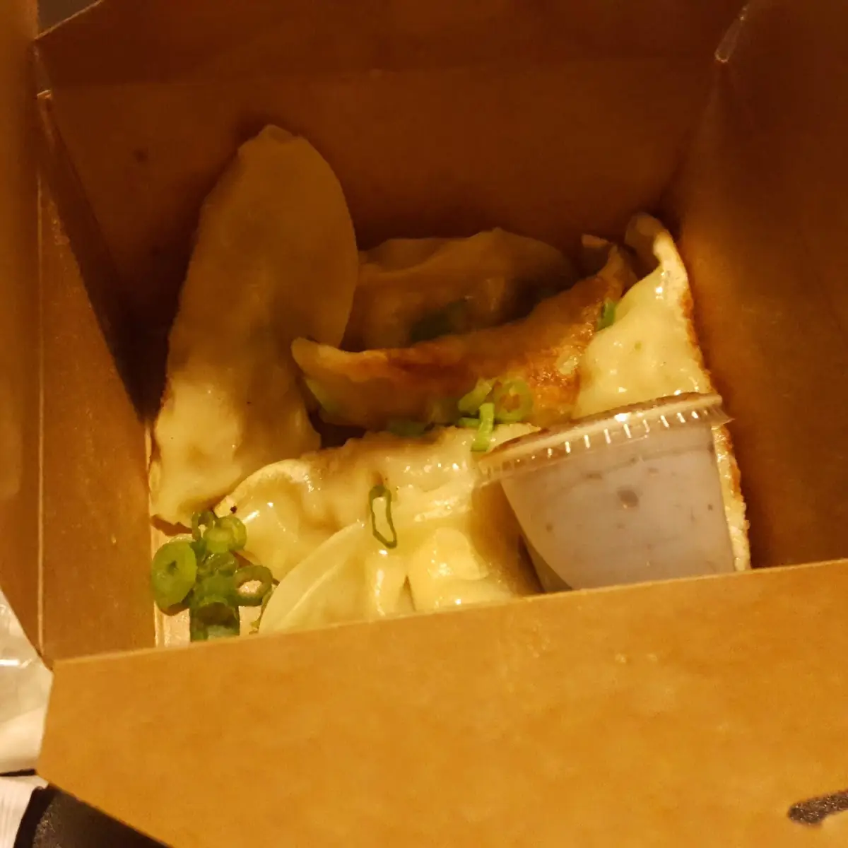 Fried Gyoza