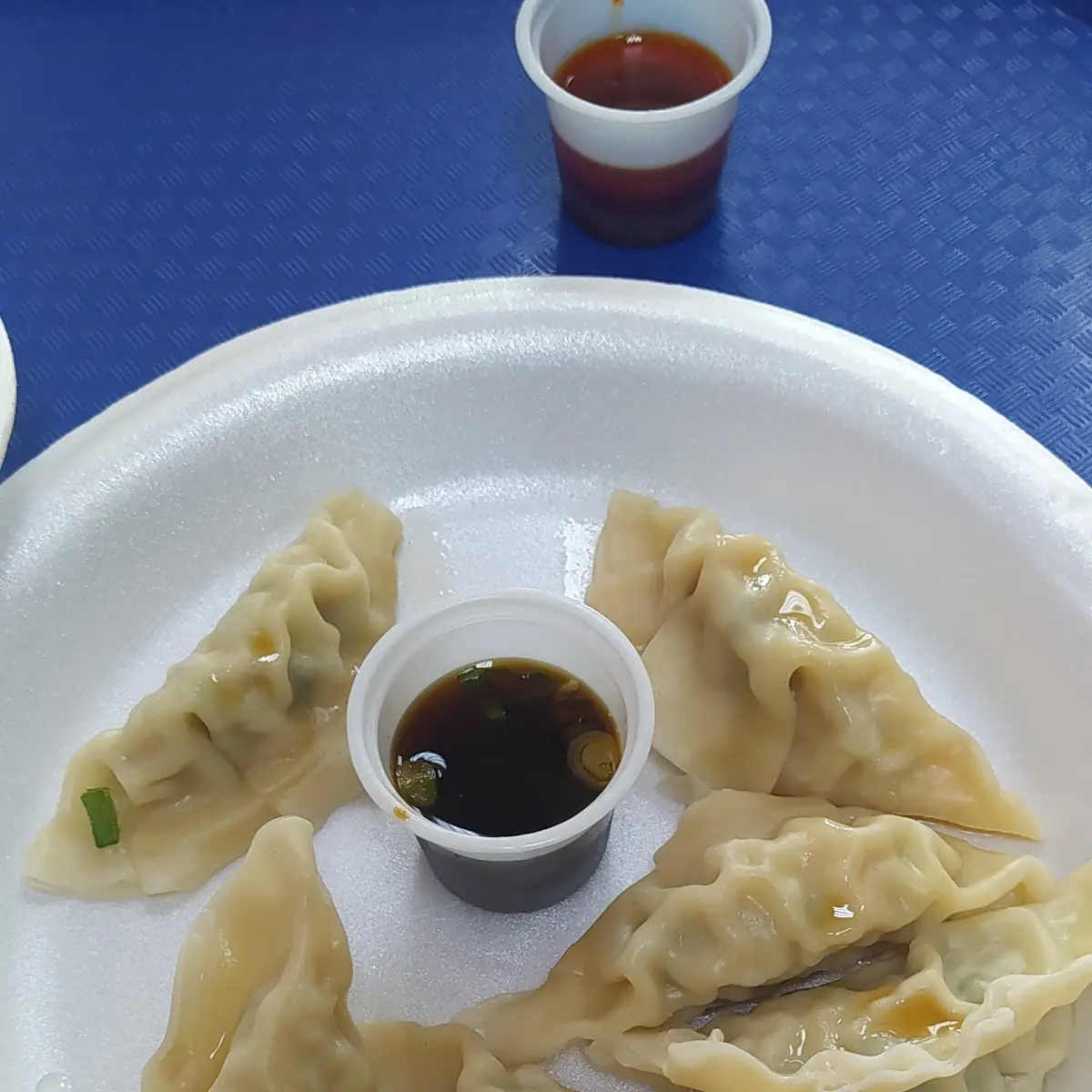 Steamed Dumplings
