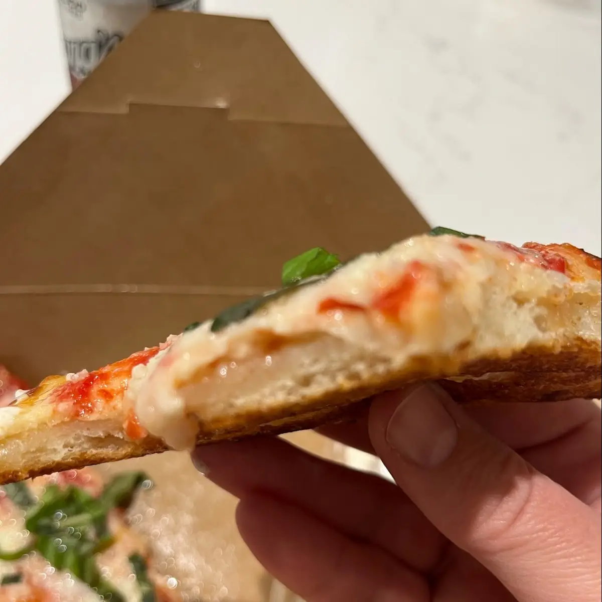Cheese Pizza Slice