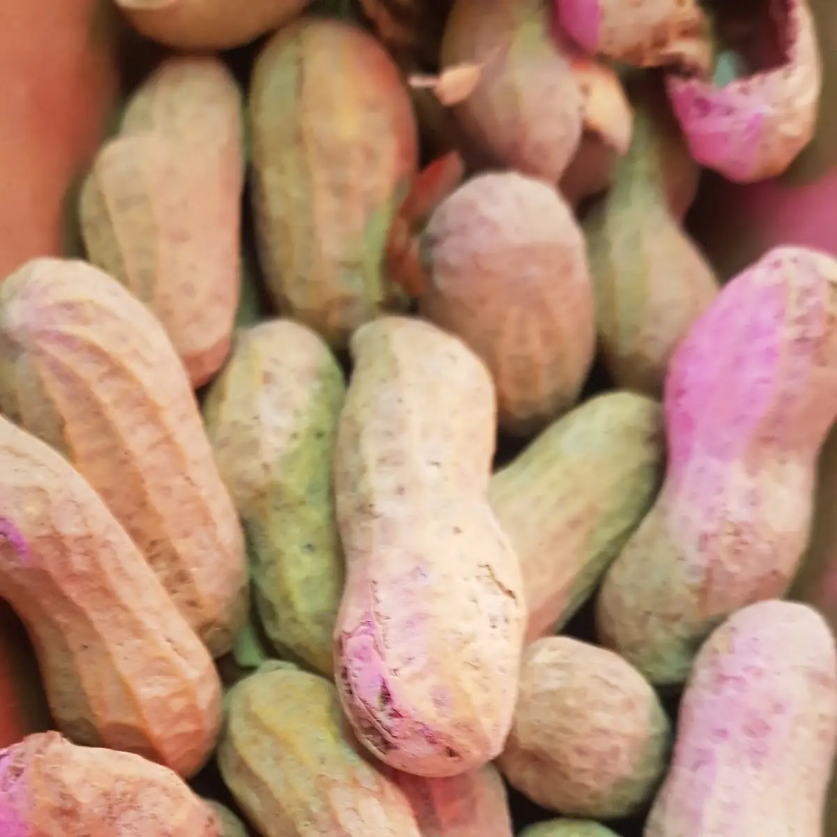 Roasted Peanuts