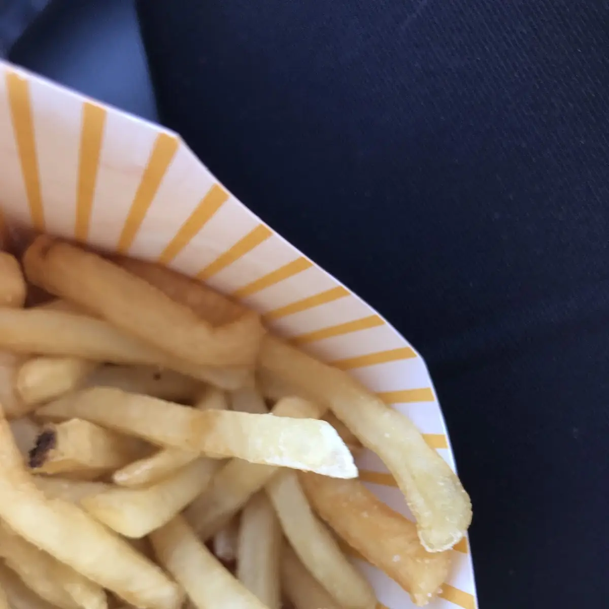 World Famous Fries