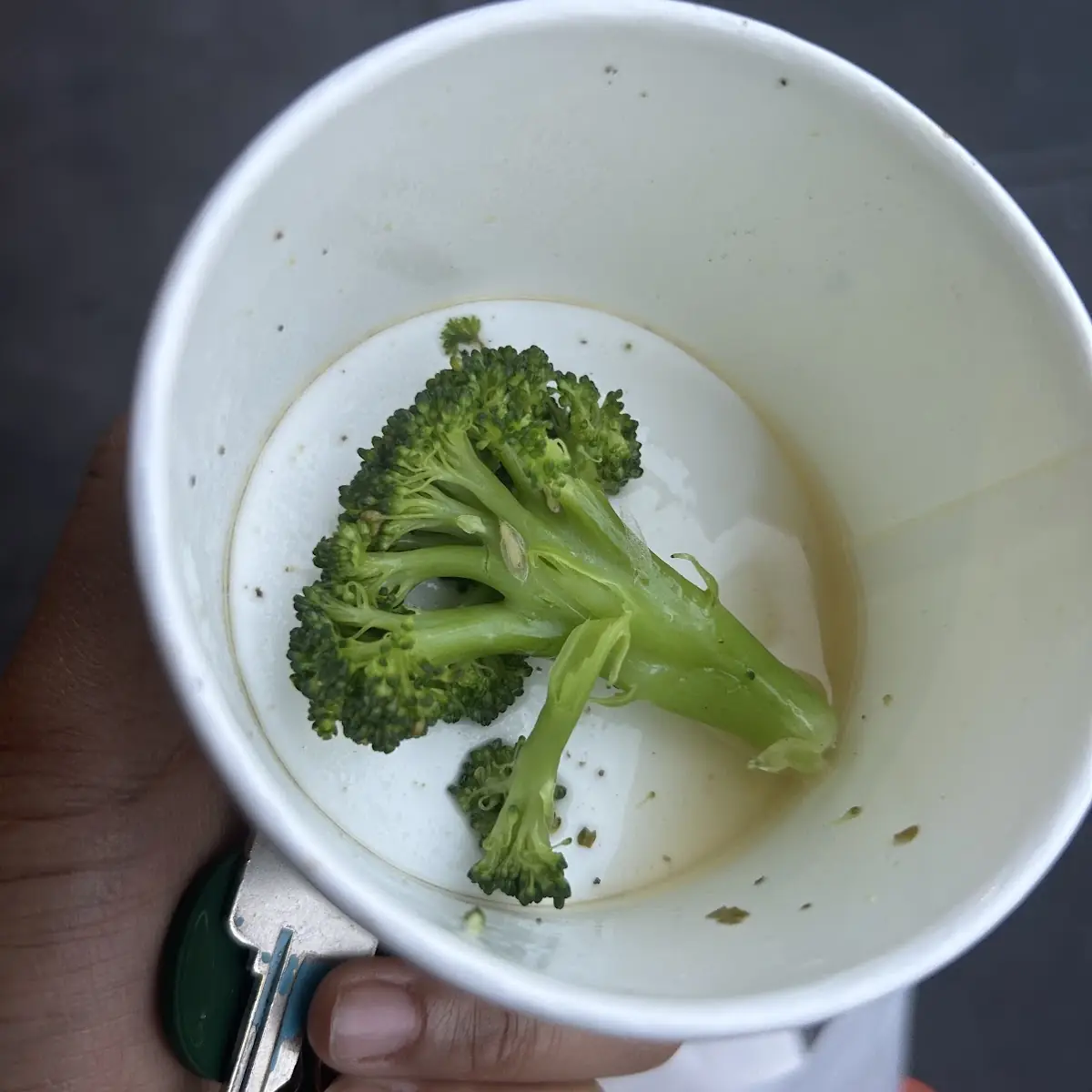 Steamed Broccoli
