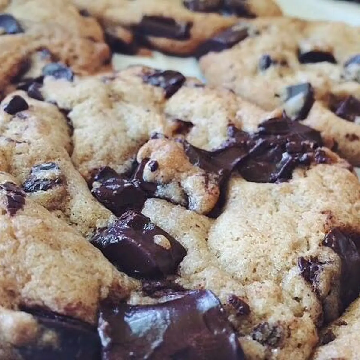 Fresh Baked Chocolate Chunk Cookies