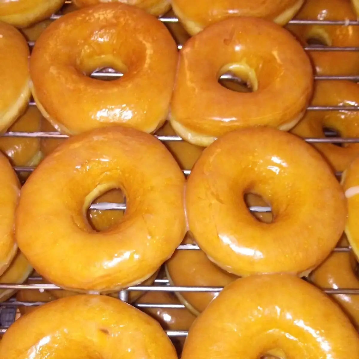 Doughnut